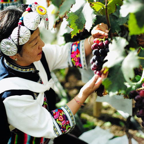 Une journée dans la peau d’un local de Daju