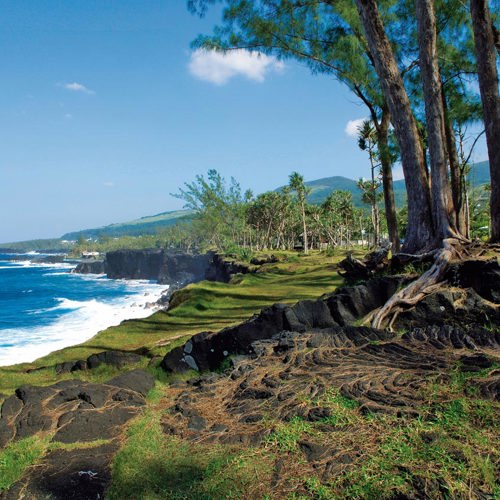Une découverte de la Réunion, 100% locale