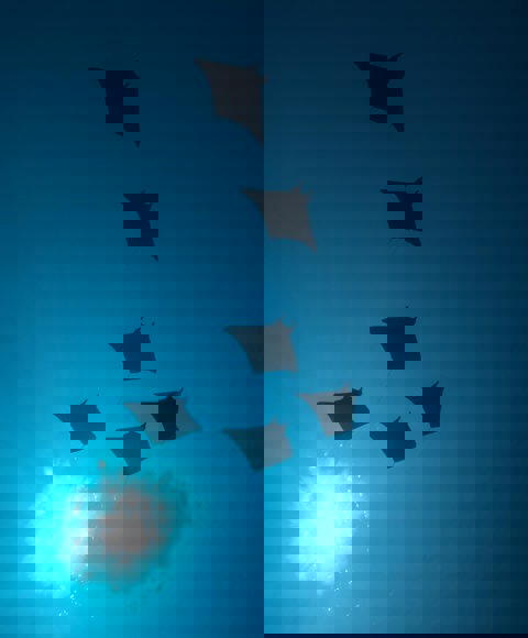 Diving