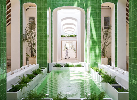 Minimalism meets Tropical Design