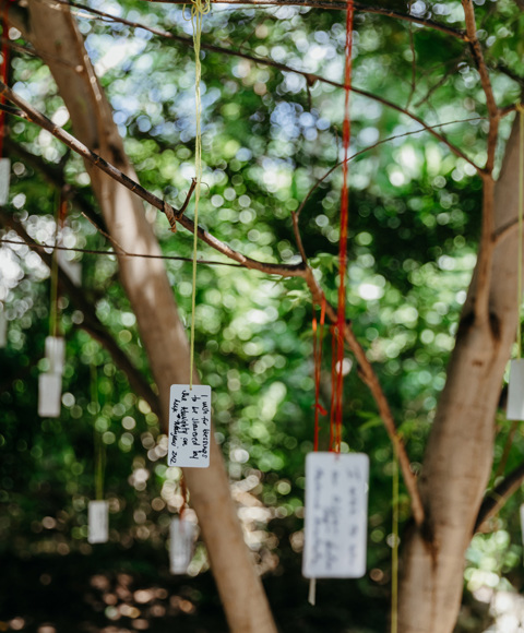 Tree of wishes