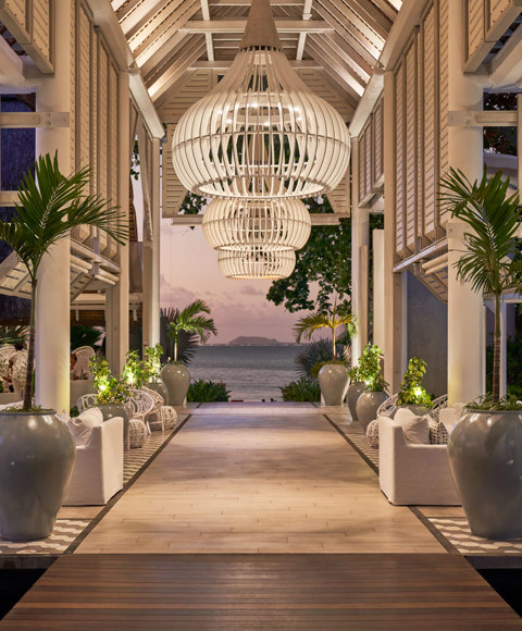 Un design tropical rétro-chic
